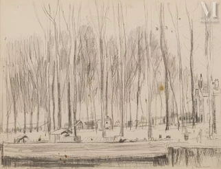 Les arbres en hiver