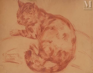 Le chat au repos