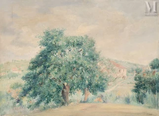 Paysage de campagne