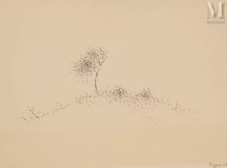 Arbre