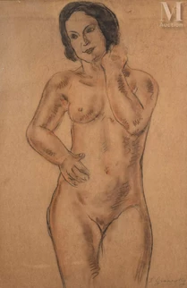 Modèle nu