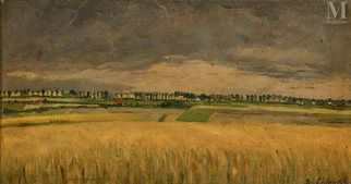 "Open fields"