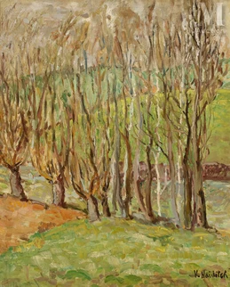 Sous-bois